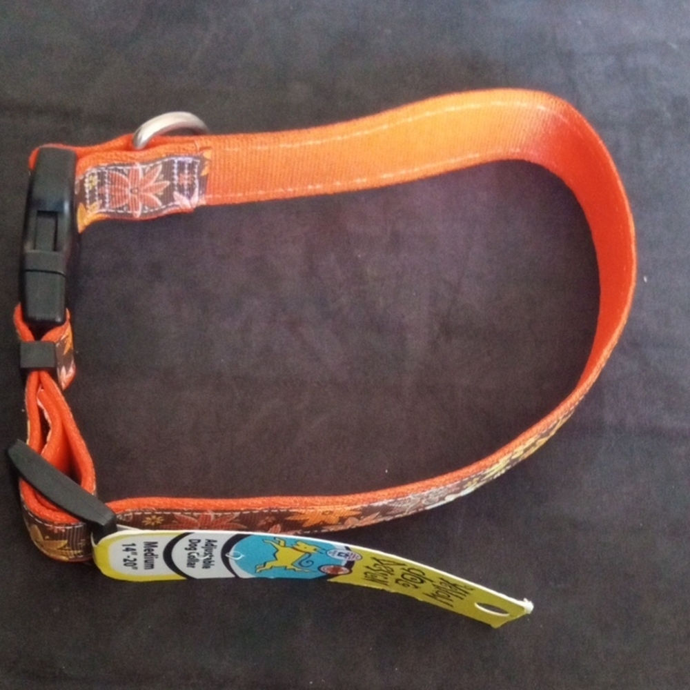 Orange Dog Collar